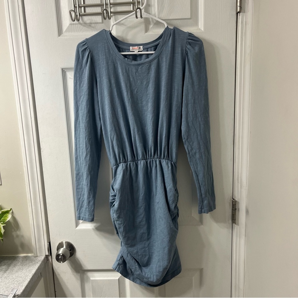 Sundry by Anthropologie cadet blue ruched long sleeve mini dress